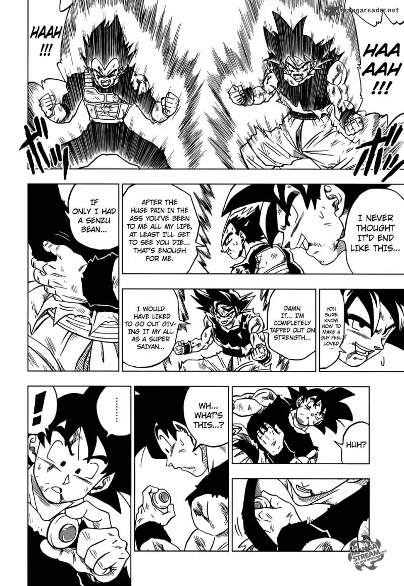 Dragon Ball Super chapter 26 page 13